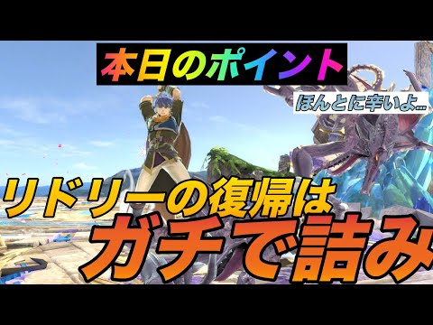 [スマブラ SP]リドリーには2種類の技だけで勝てる！？毎日アイク研究会！みんなで強くなろう！！1日1個のワンポイント共有