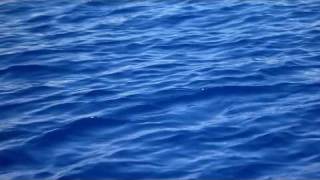 majuro-20100711(091425)+.m2ts