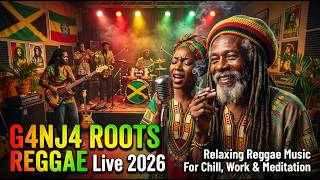 No Stress, Just Vibes 🌴 | Healing Reggae for Relaxing Days