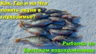 Ловля окуня в глухозимье. Ловля окуня на Братском водохранилище