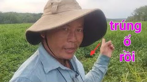 câu cá sặc rằn, một ngày câu dạo nhiều may mắn tại đập phước hòa @TAMCARO