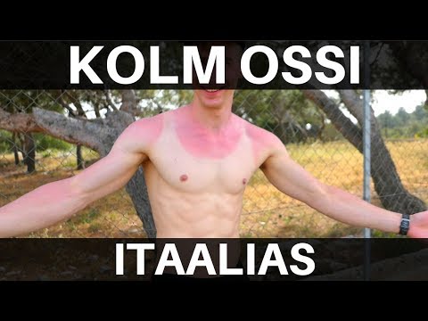 Video: Kolm Osa Tervikust