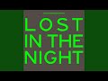 Lost In The Night