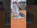 #Little Cute #Pets + Cute Girl = Unlimited #Cuteness | Must Watch Sweet Moments