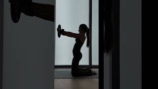 Pilates Weighted Circle: arms, core, and glutes #shortsfeed