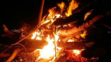 Berkemah Di Pinggir Pantai Dan Api Unggun || Yuko Family