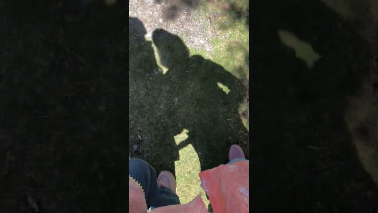 Friends Forever #sahar #videos #youtubeshorts #friends #love #best (1)