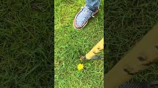Revolutionize Your Lawn Care with This Amazing Weeder #Weeder #LawnCare