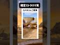 勢いが強すぎる笑笑 #shorts #memes #ai #おもしろ #funny