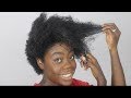 Big Chop | Heat Damaged Natural 4C/4B Hair