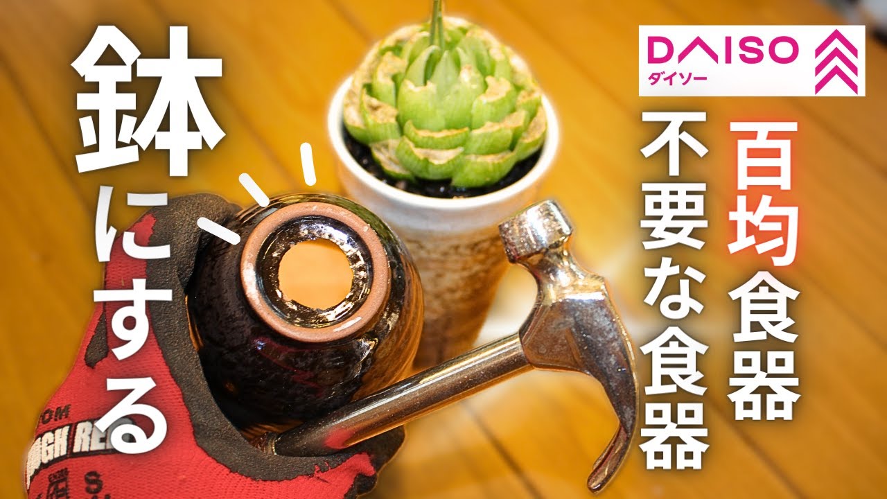 モルタルハウス底穴が空いています花器としても飾れますよ 100円食器、不要な食器に穴を開けて鉢にする！「電動工具不要