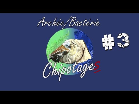 Vidéo: Différence Entre Les Eubactéries Et Les Archéobactéries