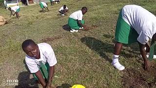 Greening Of Wasamo Girls High School