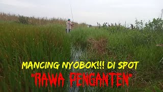 Mancing nyobok!!! di spot 'Rawa Pengantin ll detik detik di gigit segerombolan lintah by Raja gentakkk 262 views 1 year ago 11 minutes, 58 seconds