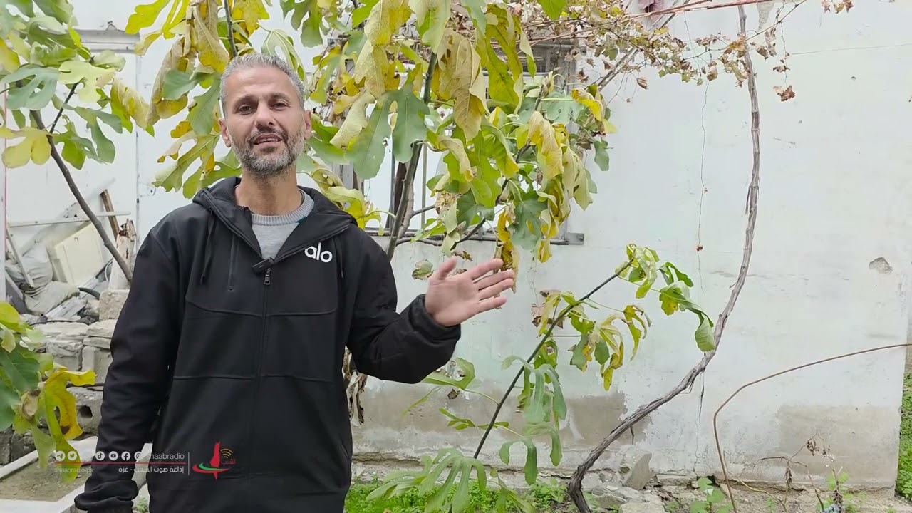 حتى الطيور لم تسلم.. أجنحة غزة المكسورة في زمن الإبادة#صوت_الشعب 