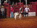 Jr rodeo calf steer and bullriding