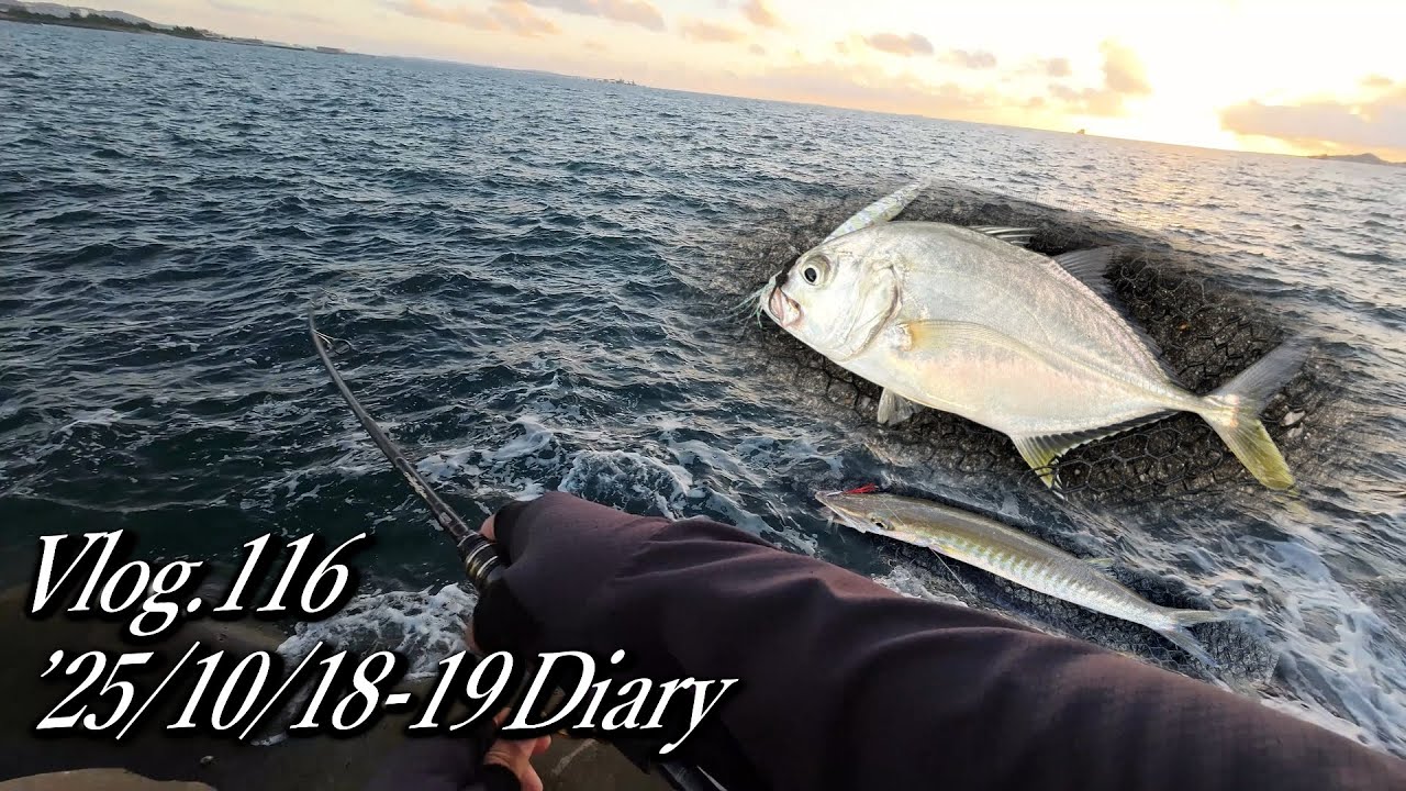 【メタルジグ 】でメッキ、メアジ・タテフエダイ、カマス　Vlog.116  '25年10月18-19日　#沖縄 #ルアー釣り #ワーミング　#マイクロショアゲーム　＃ショアジギング