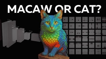 Why are Transformers replacing CNNs?