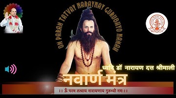 नवार्ण मंत्र 1008 बार | Navarn Mantra 1008 Times | Dr Narayan Dutt Shrimali | Nikhileshwaram