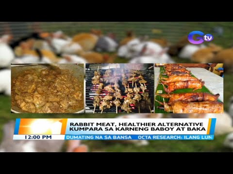 Rabbit meat, healthier alternative kumpara sa karneng baboy at baka | BT