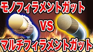 モノフィラメントVSマルチフィラメント！あなたに合うガットをご紹介！