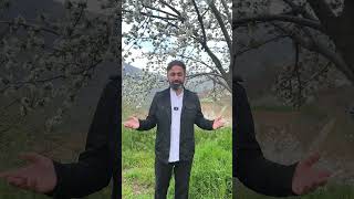 Melekler, "Korkmayın, Üzülmeyin" diyecek | Ebu Bekir Westâni