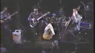 Video thumbnail of "The Radiators - You Ain't Goin' Nowhere 2/21/91"