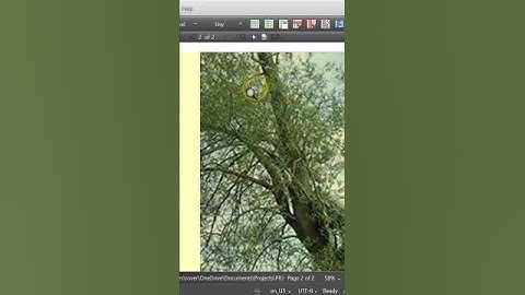 How to add an Image or a Figure in LaTeX