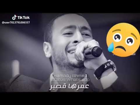 ليه كل حاجه حلوه عمرها قصير