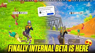 🔥 Finally, The Internal Beta Is Here! AI Teammates + Knock & Revive System!