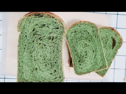[Baking Vlog] 쑥 식빵 만들기 mugwort bread recipe