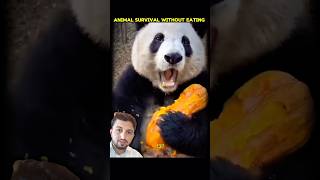 Animals That Can Survive Without Food | Snake vs Human Survival | Shocking Facts