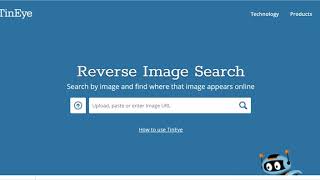 Tutoriel Google Image Tineye