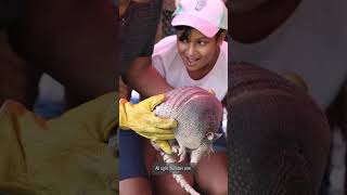 Watch armadillo races at the Fort Worth Stockyards