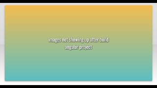 images not showing up after build angular project