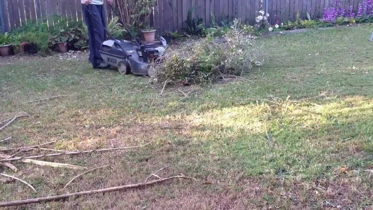 Time-Lapse - Annihilating fairly large branches using a Victa Tornado Mulch or Catch