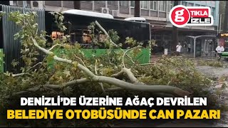 Üzerine ağaç devrilen belediye otobüsünde can pazarı