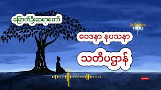 ဝေဒနာနုပဿနာ သတိပဌာန် မြောက်ဦးဆရာတော်