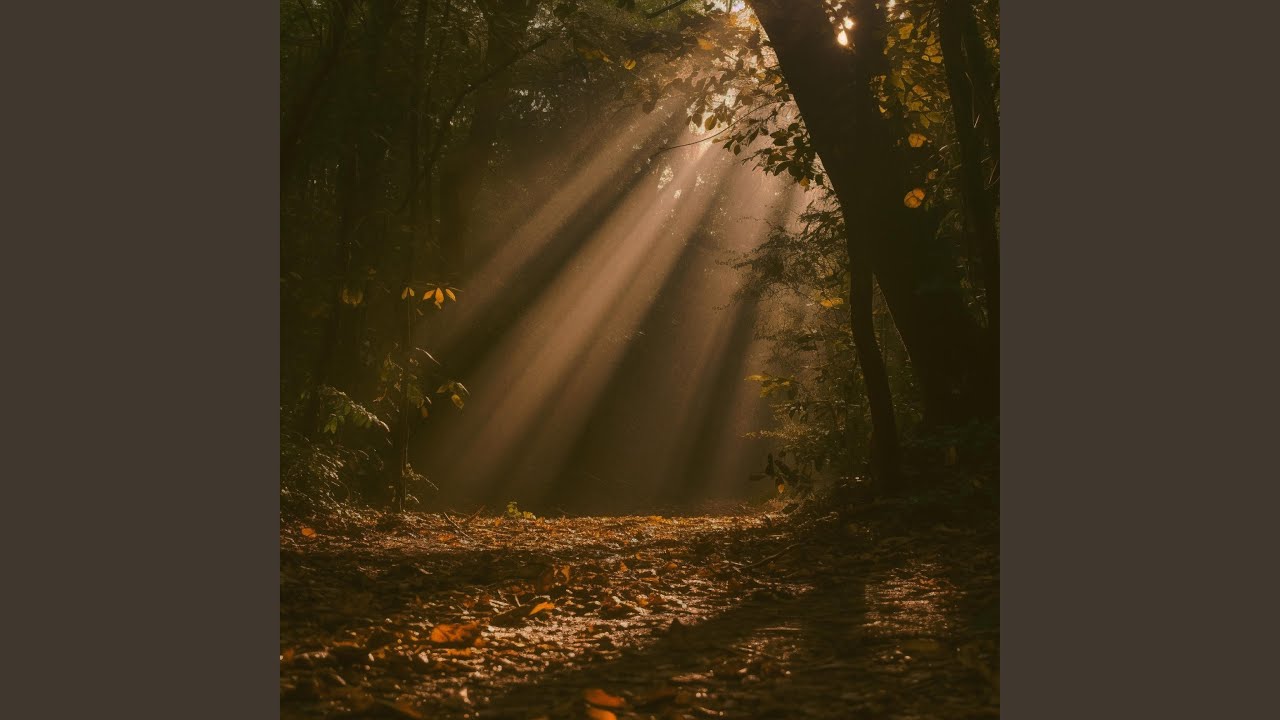 Watch Curious (Rain) on YouTube Watch Curious (Rain) on YouTube