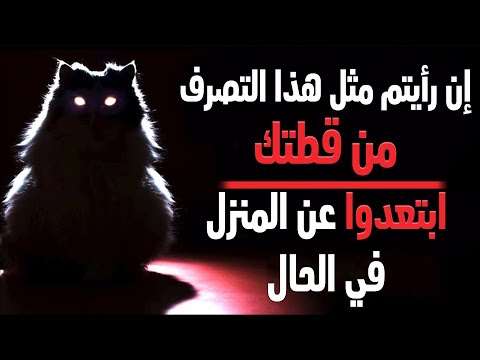 فيديو: ماذا يجب أن اسم كندا هذا Labrador الجرو؟