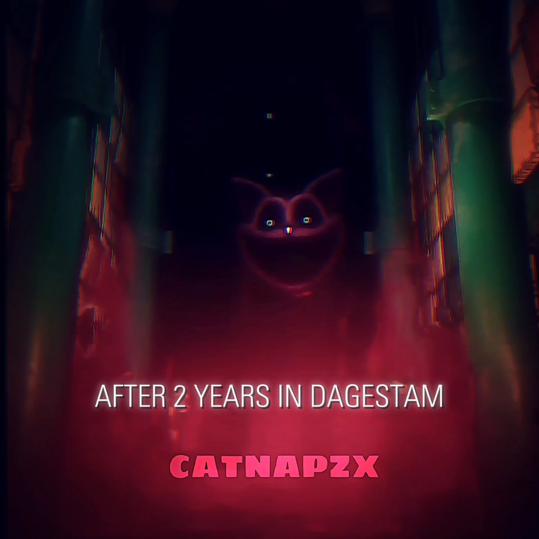 Catnap:zx - YouTube