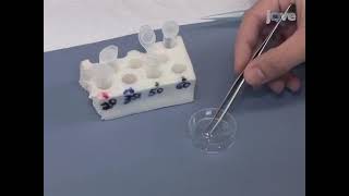 Oxygen Mapping using Electron spin resonance micro-imaging of live species