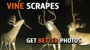 How to Make a Vine Scrape | Step By Step