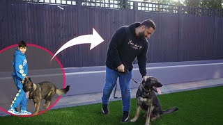 A Dog For Life | Training Uzi Ep3