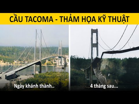 Video: Đi bộ băng qua cầu hẹp ở Tacoma