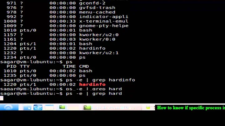 How to know if specific process is running in Unix