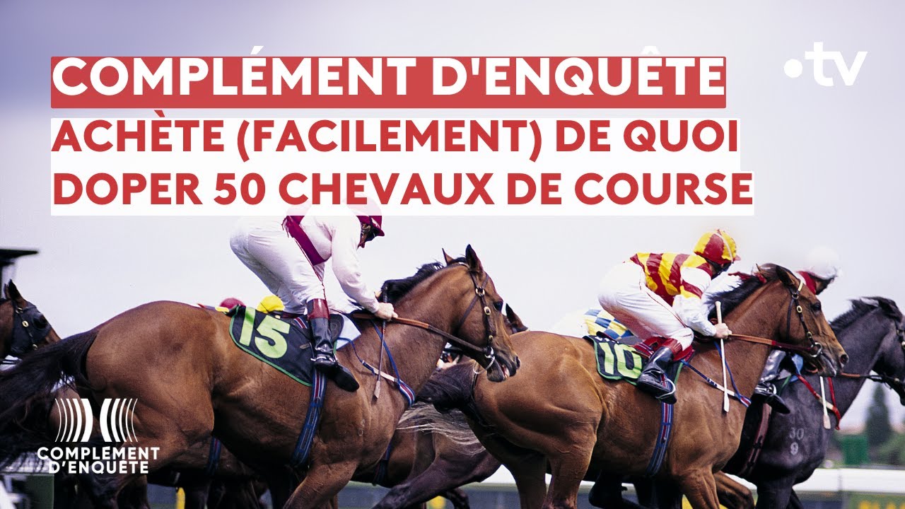 Complément d'enquête - Courses hippiques : la grande triche ?