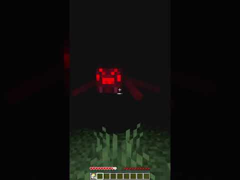 Minecraft pero ESTOY CIEGO #Shorts - Minecraft pero ESTOY CIEGO #Shorts