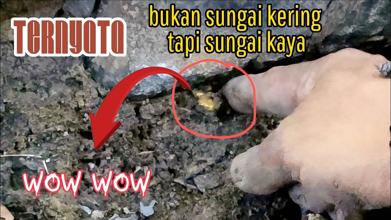 NEMU EMAS DI SUNGAI MATI DAN KERING DENGAN METAL DETECTOR