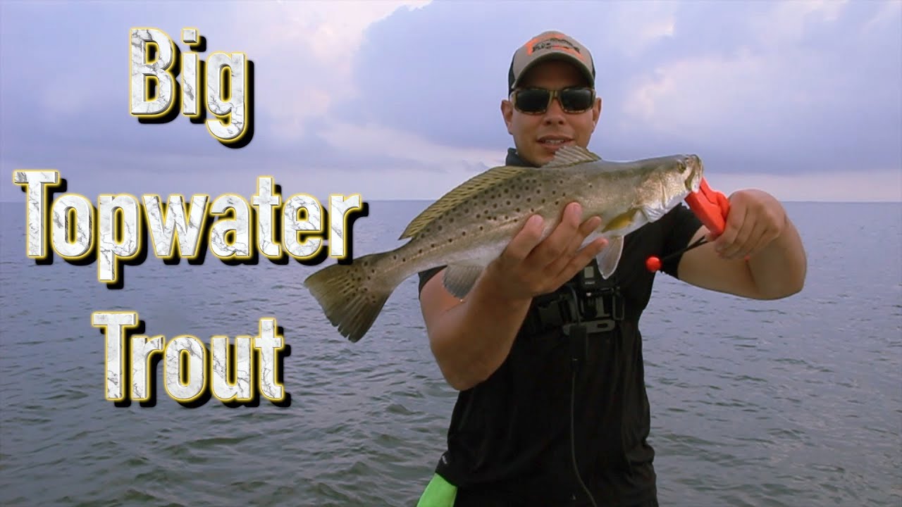 Arroyo City Fishing **BEST DAY OF TROUT FISHING OF MY LIFE** (Part 1)